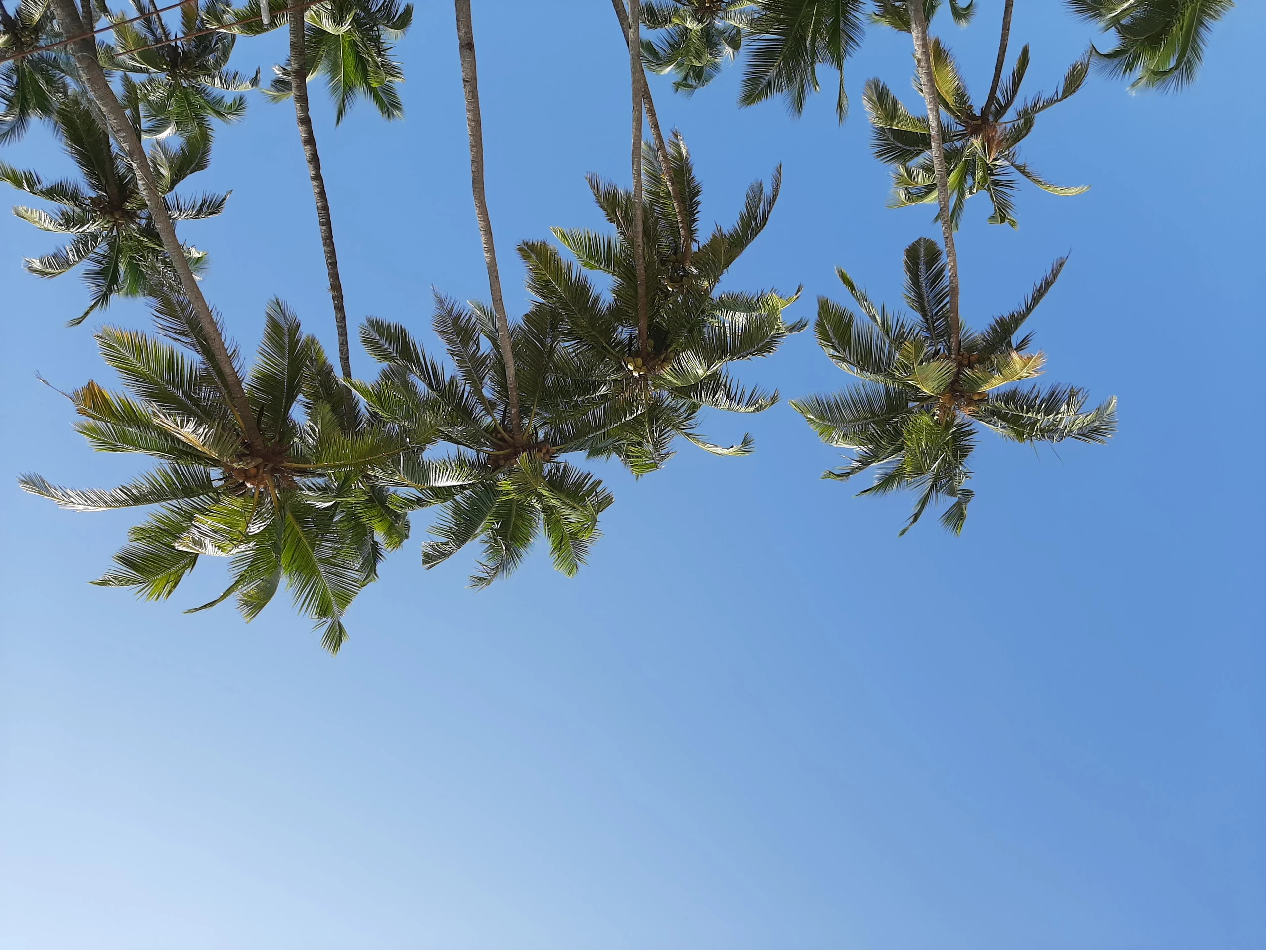 Kontaktiere mich für Yoga Kurse