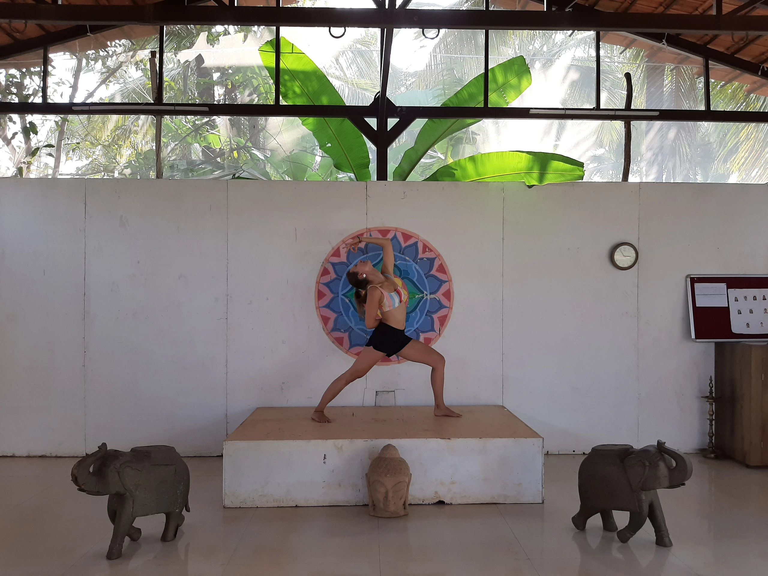 Yoga in Indien - Yoga Teacher Training